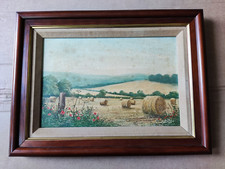 Peter van breda for sale  BANBRIDGE