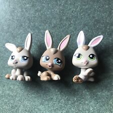 Lps littlest pet for sale  Lititz