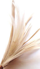 Fascinator hats2go colours for sale  SEATON
