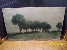 1907 group palmetto d'occasion  Expédié en Belgium