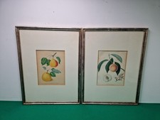 Pair large framed for sale  LEOMINSTER
