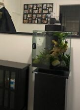 Fluval edge aquarium gebraucht kaufen  Köln