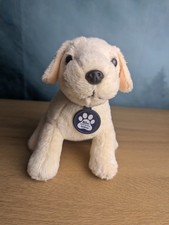 andrex puppy for sale andrex puppy for sale IPSWICH