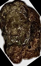 Scarce tektire meteorite for sale  Bakersfield