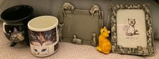 Lot cat kitten for sale  Stockbridge