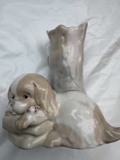 Miquel requena dog for sale  SALE