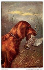 Theme chiens epagneul d'occasion  France