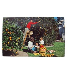 Postcard florida residents for sale  Arnold