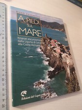 Diego vaschetto piedi usato  Torino
