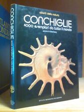 Conchiglie 4000 esemplari usato  Roe Volciano