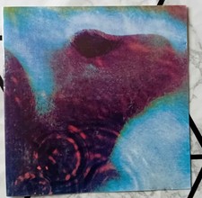 Pink floyd meddle usato  Torre Canavese