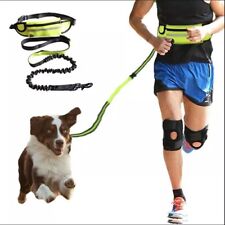 Laufleine hundeleine joggingle gebraucht kaufen  Waldershof