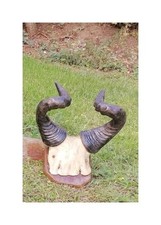 Kuhantilope hartebeest antilop gebraucht kaufen  Schwanebeck