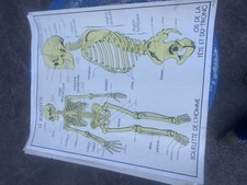 Affiches scolaires rossignol d'occasion  Chameyrat