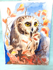 Owl bird watercolor for sale  Waterford