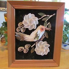 Vintage framed seashell for sale  Claremore