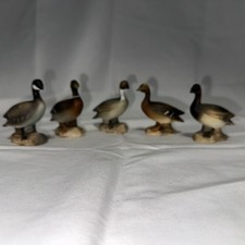 enesco duck for sale  Veguita