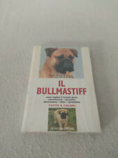 Bullmastiff giulio audisio usato  Cervia