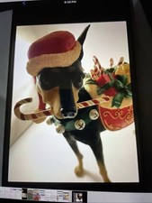 Danbury mint christmas for sale  Hilliard