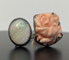 Mächtiger pal korallen gebraucht kaufen Mächtiger pal korallen gebraucht kaufen  Lünen