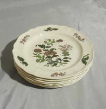 Mandarin wedgwood gebäcktelle gebraucht kaufen  Isen