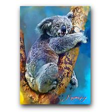 koala bear for sale koala bear for sale Pasco