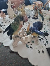 Kakadu papageien paar gebraucht kaufen  Köln