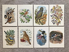 c f tunnicliffe for sale  BEXHILL-ON-SEA