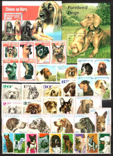 Hunde großes los gebraucht kaufen  Chemnitz