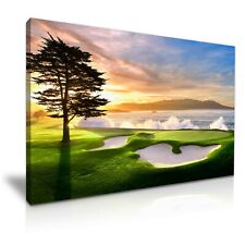 Beautiful pebble beach for sale  BIRMINGHAM