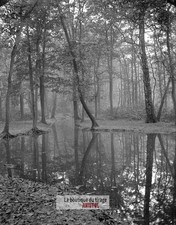 Bois boulogne paris d'occasion  Expédié en Belgium