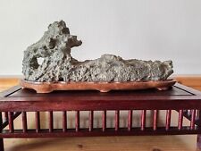 Suiseki calcare marnoso 26x11x8 cm  na sprzedaż  Wysyłka do Poland