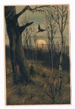 mailick gebraucht kaufen mailick gebraucht kaufen  Windorf