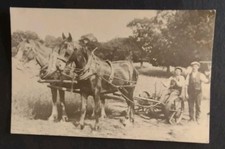 Horse postcard rural for sale  POTTERS BAR