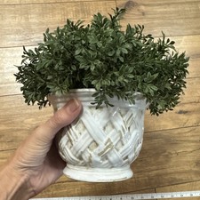 White ceramic bowl for sale  Martin
