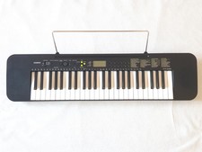 Casio ctk 240 usato  Bagno a Ripoli