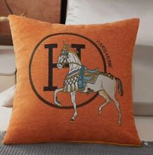 Hermes paris cushion for sale  HARTLEPOOL
