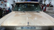 Fuel tank gallon for sale  Leesburg