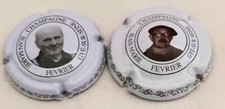 Capsule champagne fevrier d'occasion  Toulouges