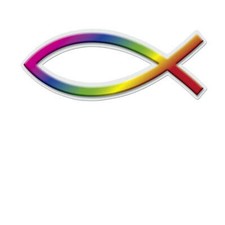 Fischaufkleber regenbogendesig gebraucht kaufen Fischaufkleber regenbogendesig gebraucht kaufen  Freren