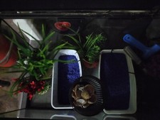 Aquarium complet litres d'occasion  Châteauneuf-sur-Charente