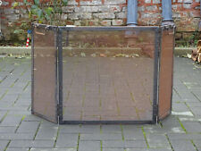 Französiches kamin funkenschu gebraucht kaufen  Wiesbaden