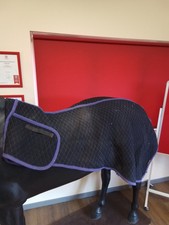 Purple black colin for sale  NORWICH
