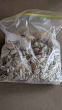 bags sea shells for sale bags sea shells for sale New Paltz
