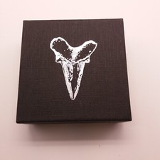 fossil teeth for sale fossil teeth for sale BENFLEET