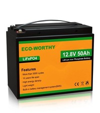 Eco worthy batteria usato  Siracusa