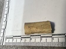 Rare petrified wood for sale  Delta