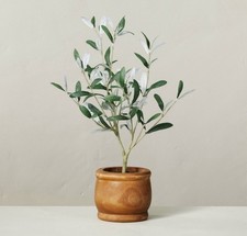 Hearth hand magnolia for sale  Waterford
