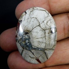 Atacado 23,40 ct. Pedra preciosa cabochão oval natural lindo cogumelo riolito comprar usado  Enviando para Brazil