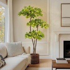 Artificial plants indoor for sale  Eugene